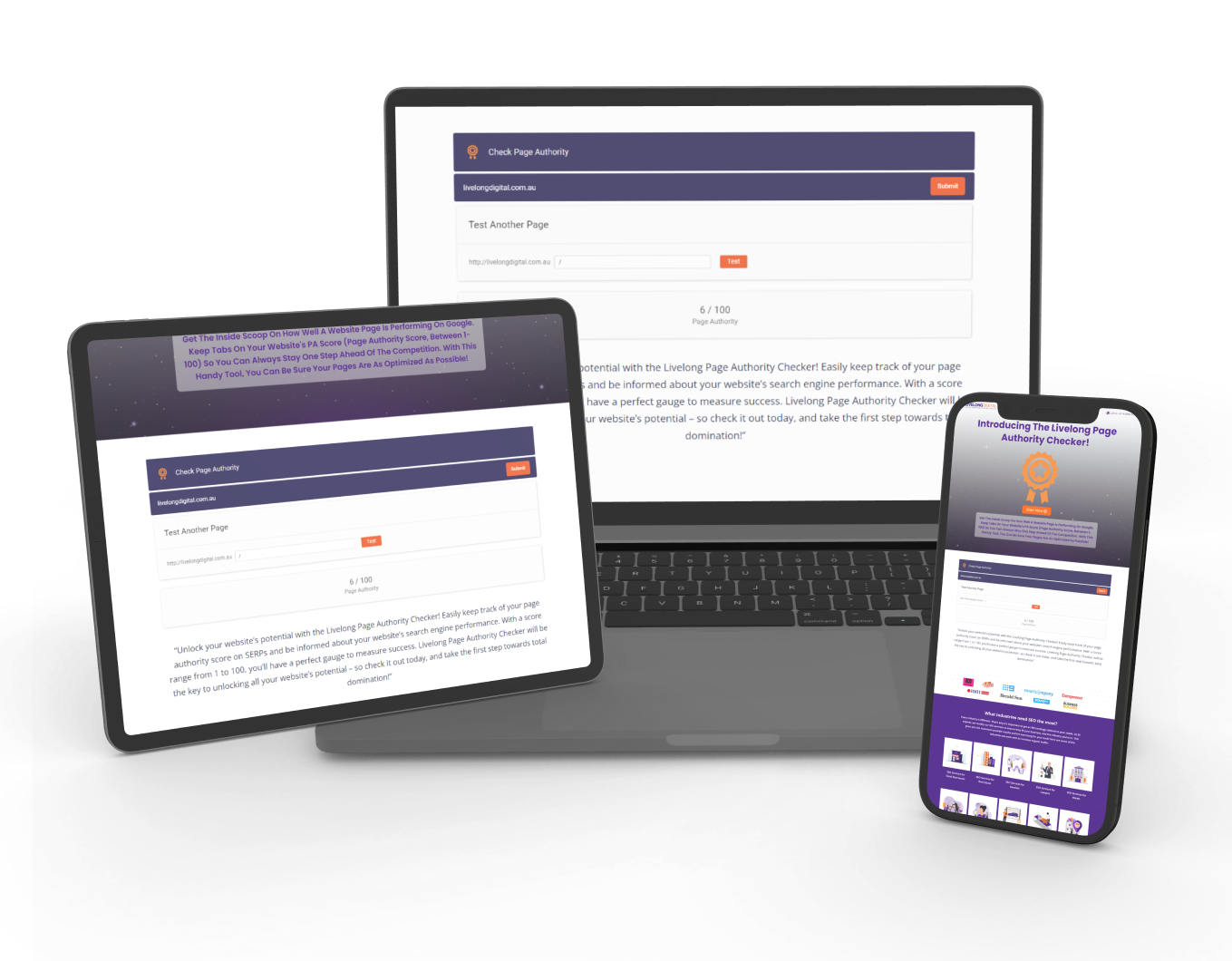 CHECK PAGE AUTHORITY