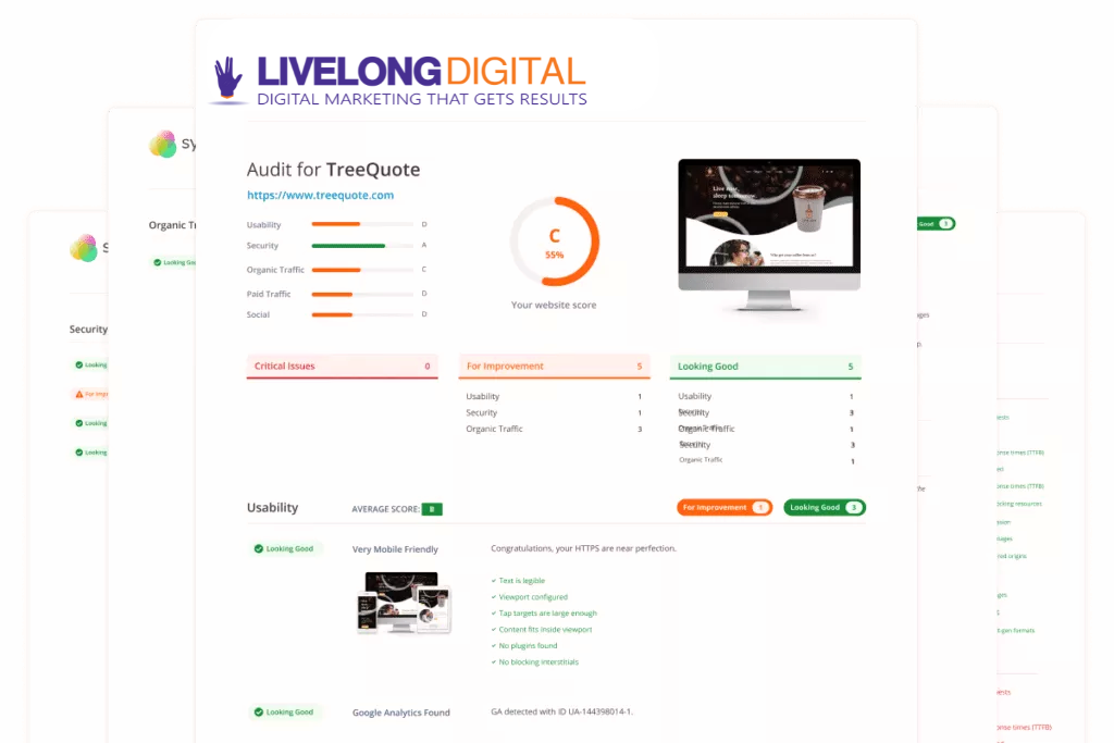 Total Online Presence Audit