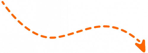 Total Online Presence Audit